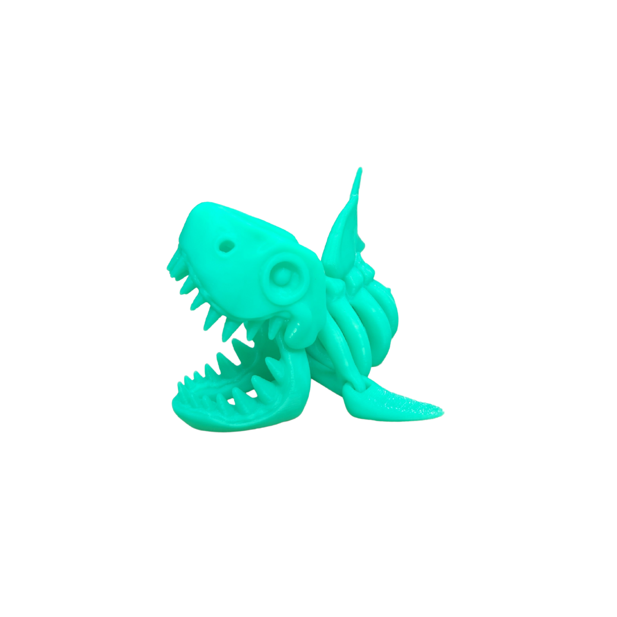 Skeleton Shark